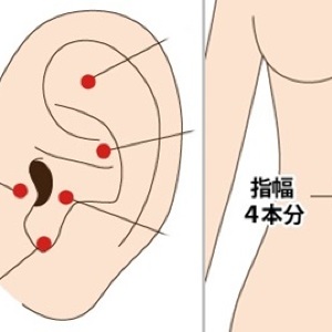 お腹ぽっこりを夏までに解消! 短期間でスッキリさせるツボ6つを徹底解説
