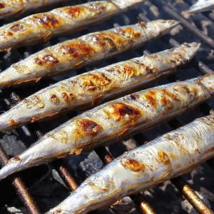 「秋分の日」 東京タワーで3333人に炭火焼きサンマ無料ふるまい!