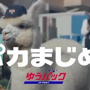 ふわっふわ、もふもふがかわいすぎ! 健気で「まじめ」な郵便局社員にメロメロです