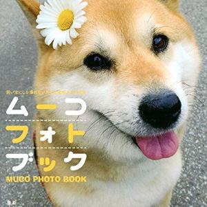 人気柴犬ムーコを襲った悲劇 JAFの「神対応」が話題