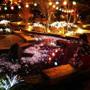 桜舞う足湯でほっこり 大江戸温泉で本物とデジタルの桜共演!