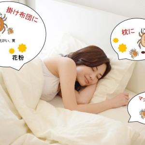 ダニと「添い寝」してるって知ってた? 今から使いたい寝具ケアアイテム