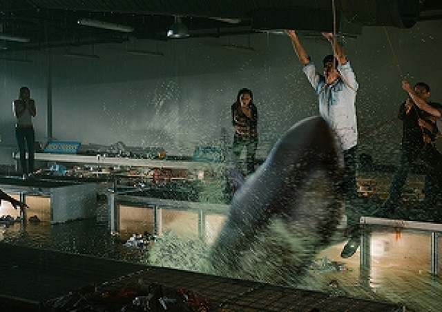 映画「パニック・マーケット3D」／人食いザメ、強盗犯、殺人鬼...欲張りな設定だけあって緊張感はMAX
