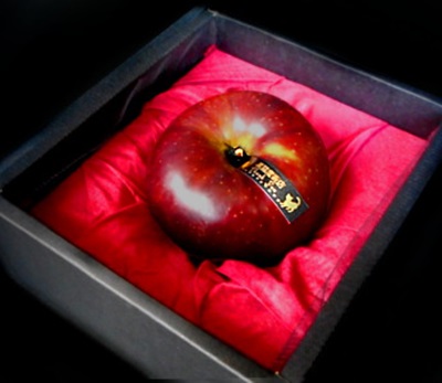 バレンタインには毒リンゴを 魔女監修「愛の願掛け毒リンゴ」キット