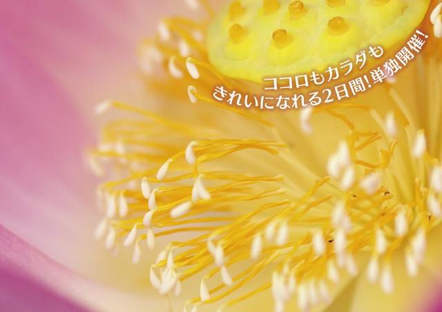 ココロもカラダもきれいに。女性が楽しめる2日間