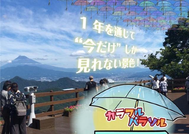 色とりどりの傘が梅雨空を飾る。今だけしか見られない景色