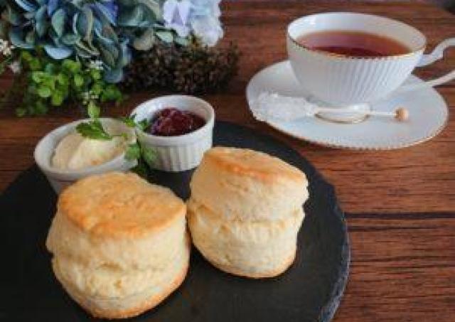 紅茶を飲みながら仲間作り。「大人小町モーニングカフェ会」