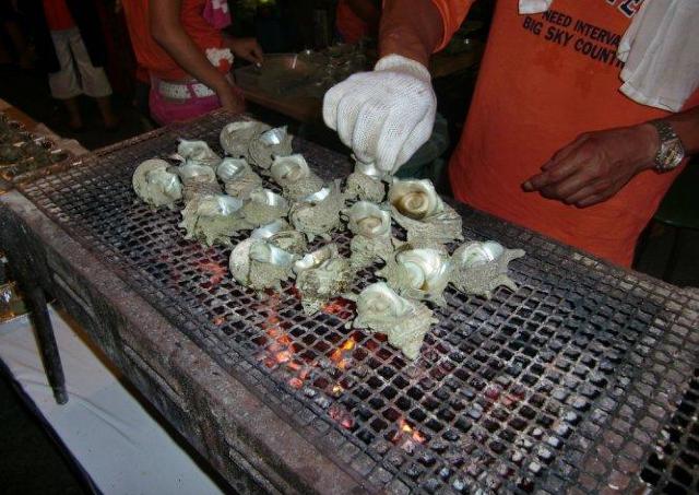 伊豆山の海でとれた新鮮なサザエはいかが？