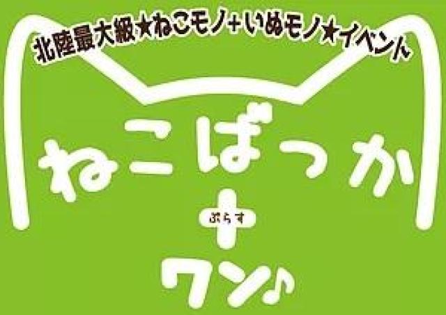 猫と犬の雑貨がいっぱい！ スイーツに展示も楽しめる大規模イベント