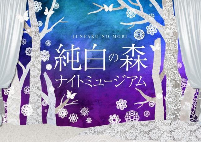 フォトジェニックな一夜を...純白のナイトミュージアム