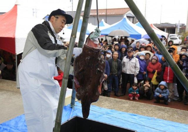 あんこうの美味しい季節がやってきた！
