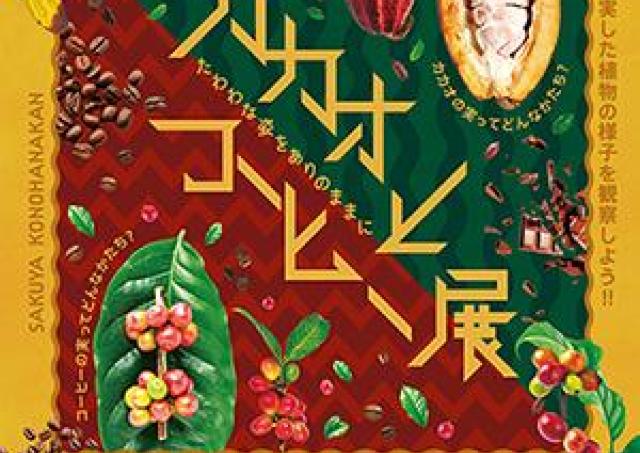 試食イベントも！　チョコレートやコーヒーを五感で楽しむ「カカオとコーヒー展」