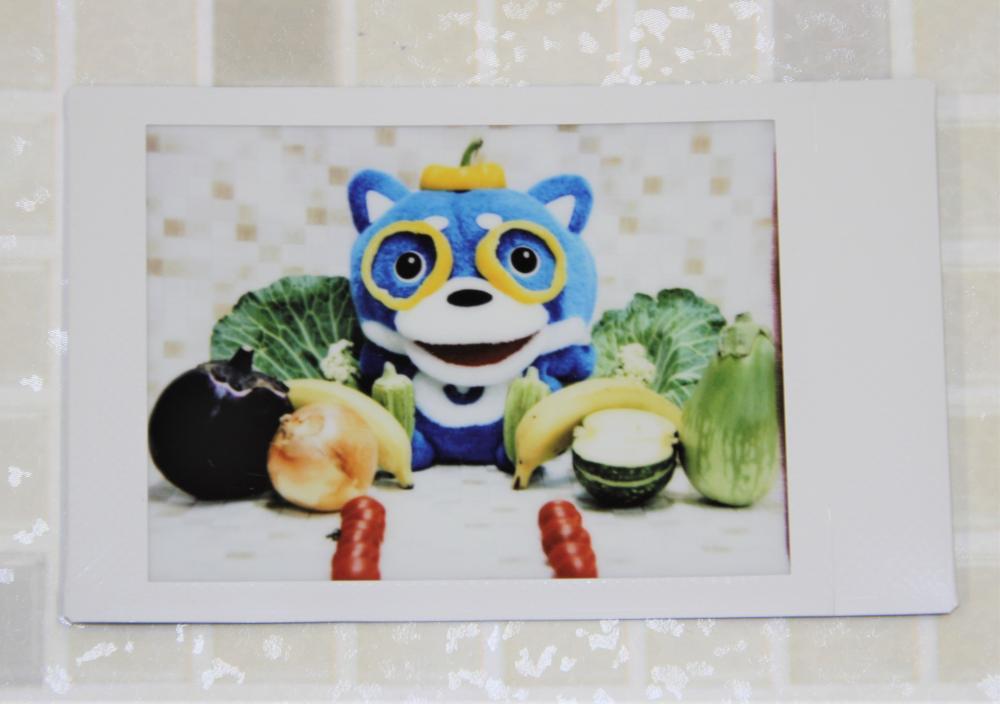 3/5) チェキって実際どうなの？instaxでチェキデビューした記者が使用 