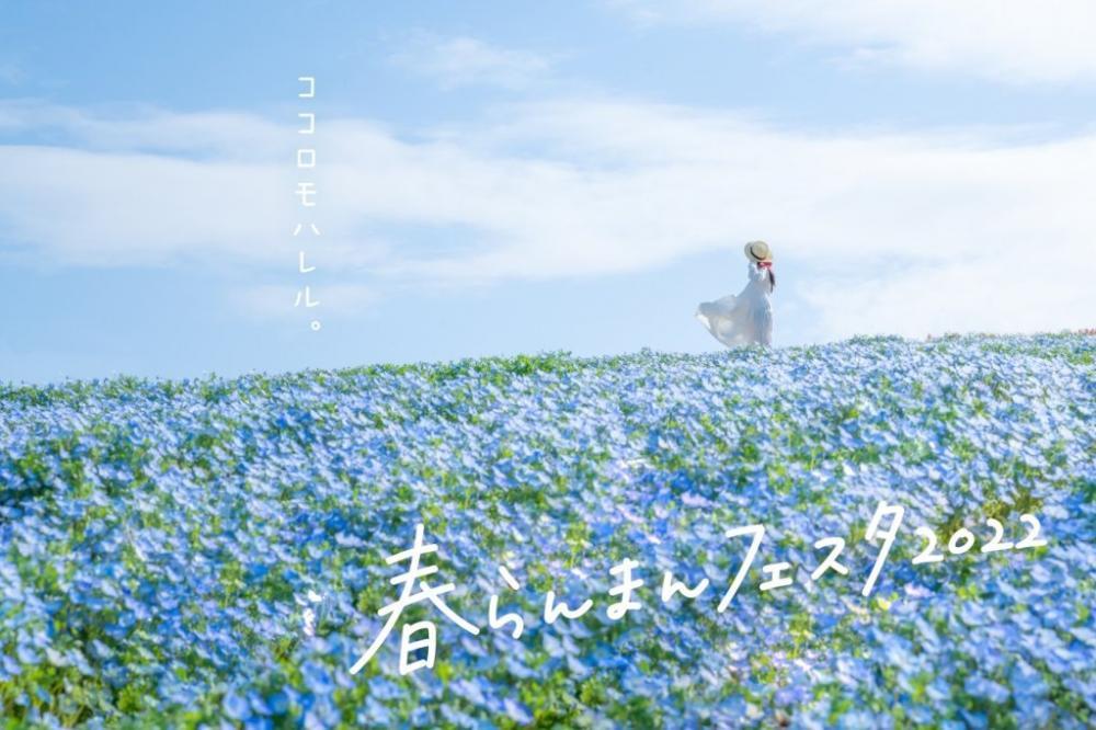 色鮮やかな花々によって彩られる春のフラワーリレー 東京バーゲンマニア