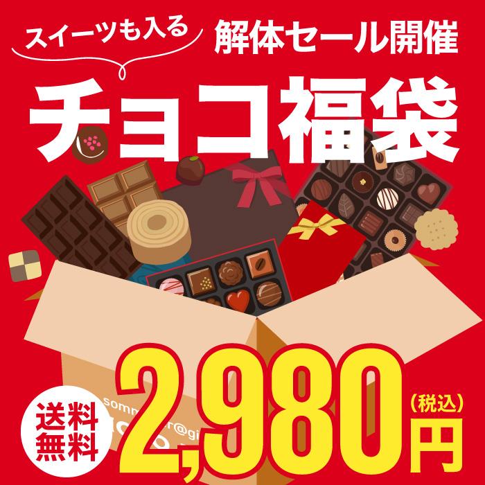 　数量限定　（福袋チケット２万円）税込３０，０００円までの対象商品が詰め放題（レディース） （返品　交換　ギフト包装不可）　モバイル決済利用不可。　 Amazon | [§hcLc] 【2025 レディース福袋】 ハッピーバッグ