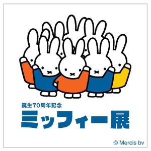 テーマは「もっと、もっと、ミッフィー」