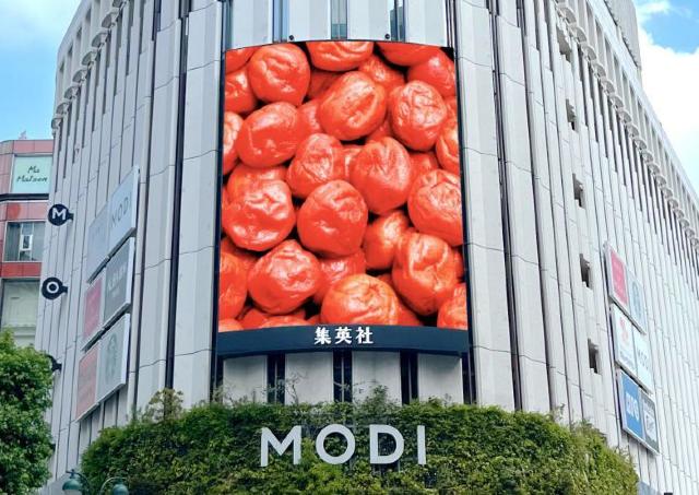 「男梅」5種食べ比べや「男梅サワー」の無料サンプリングも！全国7都市で「男梅全国布教行脚」を実施《7月19日から》