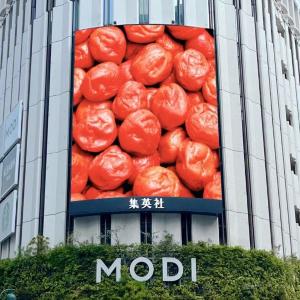 「男梅」5種食べ比べや「男梅サワー」の無料サンプリングも！全国7都市で「男梅全国布教行脚」を実施《7月19日から》