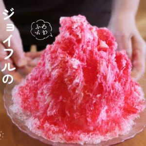 ワンコイン以下で