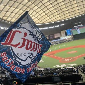 野球って試合だけじゃなかった...。観戦ド素人でも夢中になれる