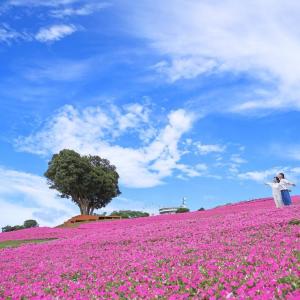 自然を満喫！「夏に子どもと行きたい絶景スポットランキング」ベスト3は？《楽天トラベル》