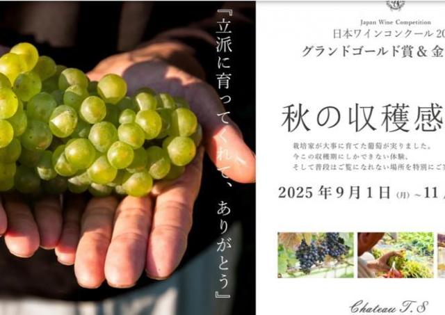 ワインぶどうの収穫や醸造体験ができる収穫祭