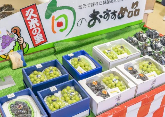 久米地域産のおいし～いぶどう、たっぷり味わって！