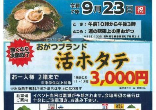 海産物販売やキッチンカーなど...おがつの秋の恵みが大集合！