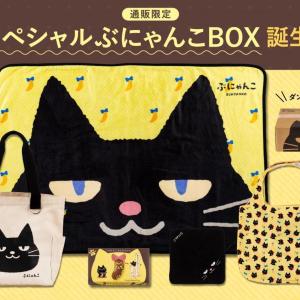 「東京ばな奈ぶにゃんこ」のスペシャルBOXが通販限定で発売。