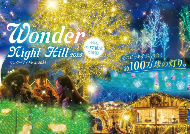 約100万球のイルミネーションがきらめく