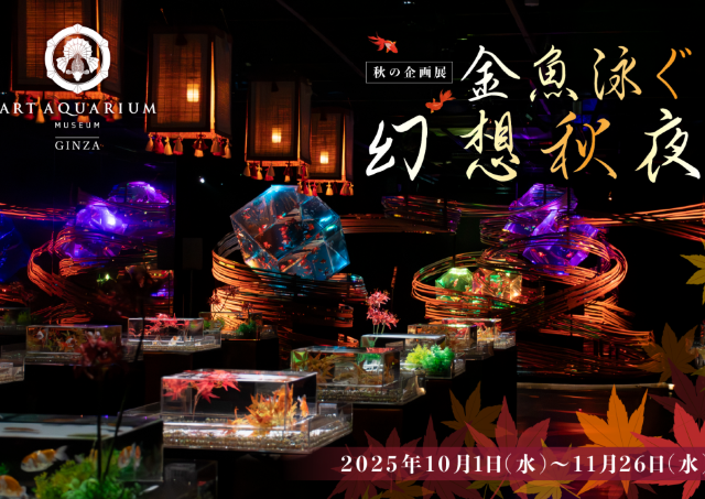 金魚と秋の色彩の融合を楽しめる空間
