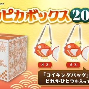 「豪華すぎる」内容が大人気！ポケモン福袋「ピカピカボックス2026」は抽選販売