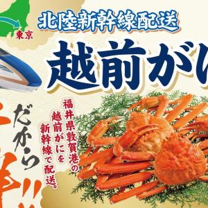 【11/29限定】イオンのブラックセールで