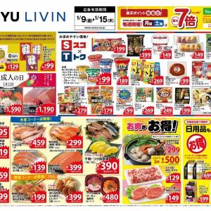 【西友のチラシ】税抜99円食品がどっさり！ハンバーグにカップヌードルもお得に買うチャンス《15日まで》