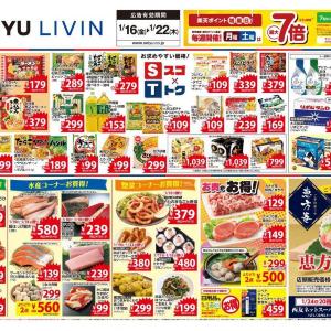 【西友のチラシ】2点まとめ買いでお得に！日付限定特価も要チェック。《22日まで》