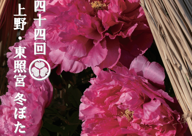 上野東照宮で関東最大級の数のぼたんが楽しめる