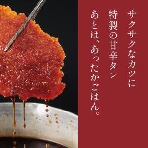 どんぶり2種が最大204円オフの550円に！「タレカツ食堂 たれとん」1号店が2月2日に新橋でオープン