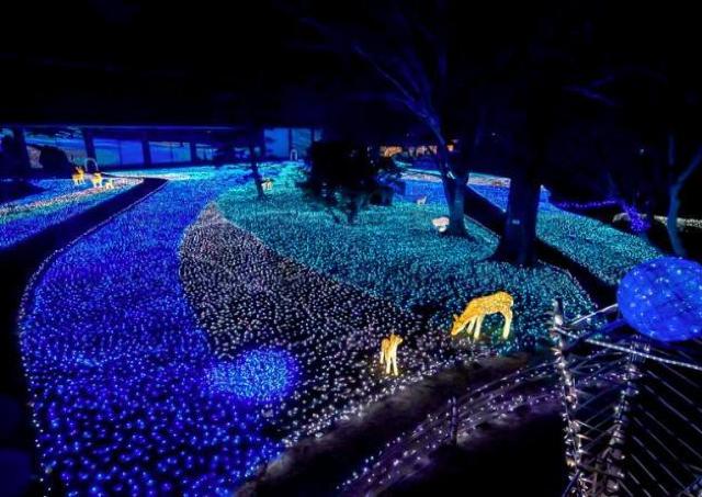 古都・奈良が幻想的な光に包まれる