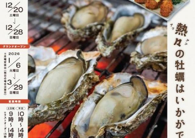 浜名湖冬の風物詩「牡蠣小屋」オープンしています！