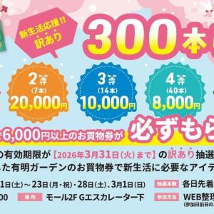 参加費5000円で6000円以上の買物券が必ずもらえる！有明ガーデンで福引きキャンペーン開催《2月21日から》