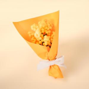 【ロクシタン】一部店舗でミモザのミニブーケをプレゼント。6600円以上の購入が対象、各日先着30人まで《国際女性デー》