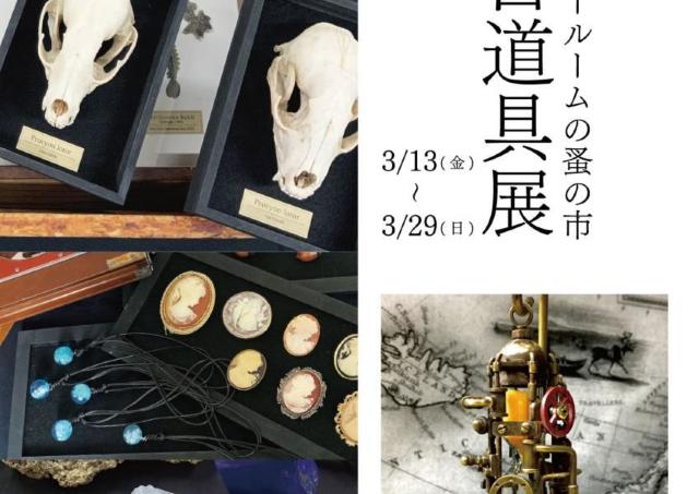 標本や鉱物など「時間」を感じるアイテムを探しに