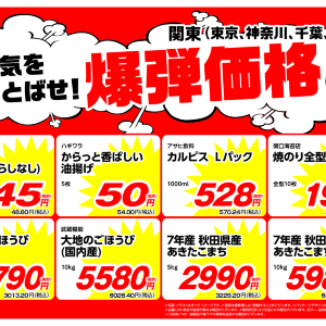 【爆弾価格】業務スーパーの月間特売が安い！小粒納豆48円、油揚げが54円。お得な商品すべて紹介するよ。