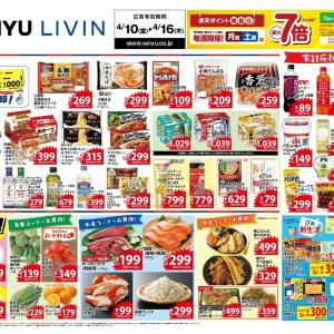 【西友の最新チラシ】日清、ロッテの商品がお買い得！期間限定チョコがお試し価格に《4月16日まで》