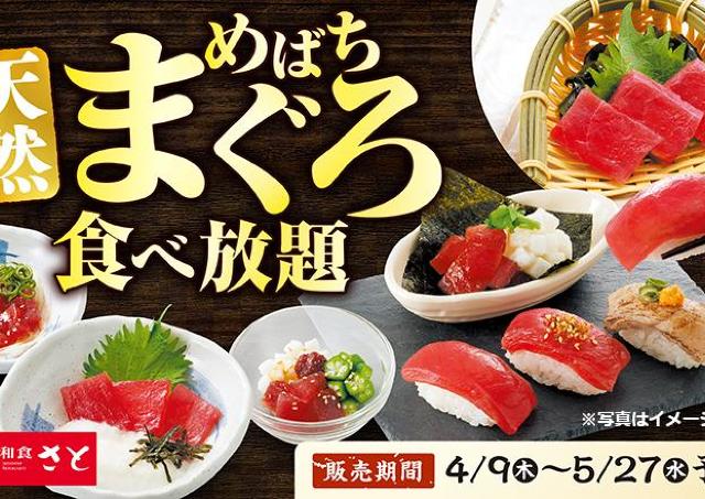 【和食さと】期間限定で