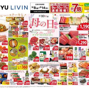 【西友の最新チラシ】湖池屋スコーンが106円！母の日におすすめの213円スイーツも《5月14日まで》
