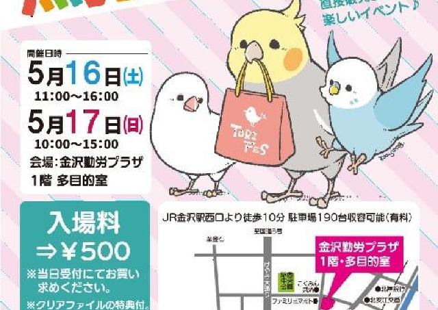 金沢に、可愛い小鳥雑貨が大集合！