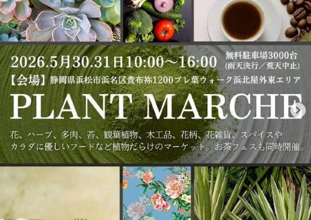植物だらけの癒しのマーケット開催