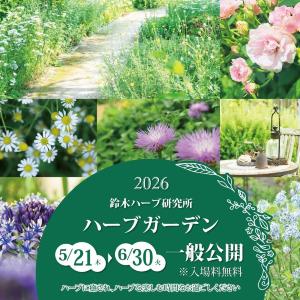 【茨城】入園無料！500種類以上のハーブが見ごろを迎える「鈴木ハーブ研究所ハーブガーデン」《6月30日まで》