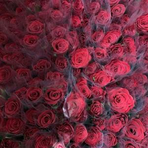 【横浜中華街】バラがもらえるなんてうれしい！5月30日・31日にお花を一輪プレゼント♡